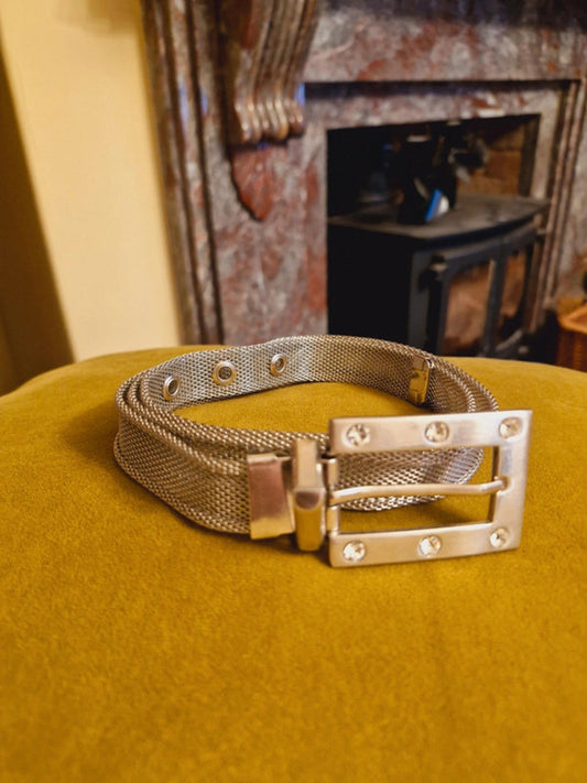 Y2K Silver Slinky Belt